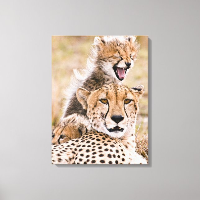 Niedliche Kleintiere | Cheetah Cat & Cub Leinwanddruck (Vorderseite)