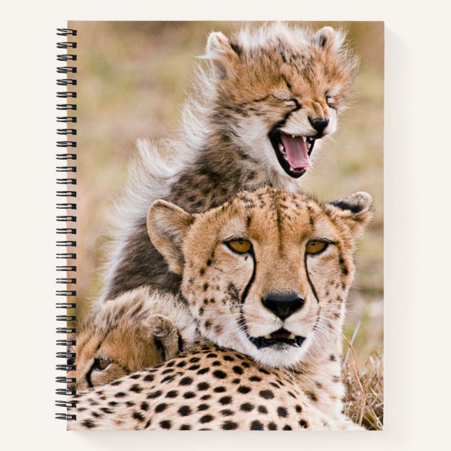 Niedliche Kleintiere | Cheetah Cat & Cub Notizbuch (Vorderseite)