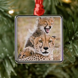 Niedliche Kleintiere   Cheetah Cat & Cub Ornament Aus Metall