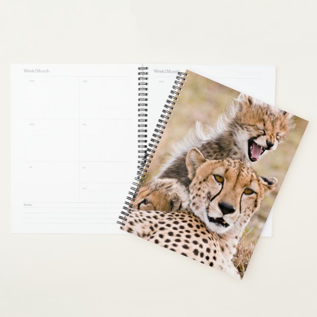 Niedliche Kleintiere | Cheetah Cat & Cub Planer (Anzeige)