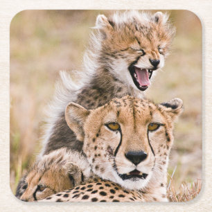 Niedliche Kleintiere Cheetah Cat & Cub Rechteckiger Pappuntersetzer