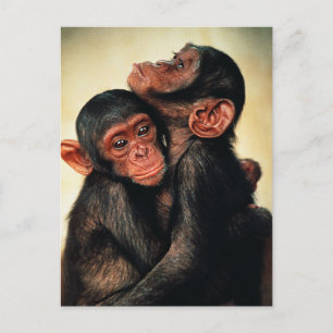 Niedliche Kleintiere   Chimpanzee Hug Postkarte