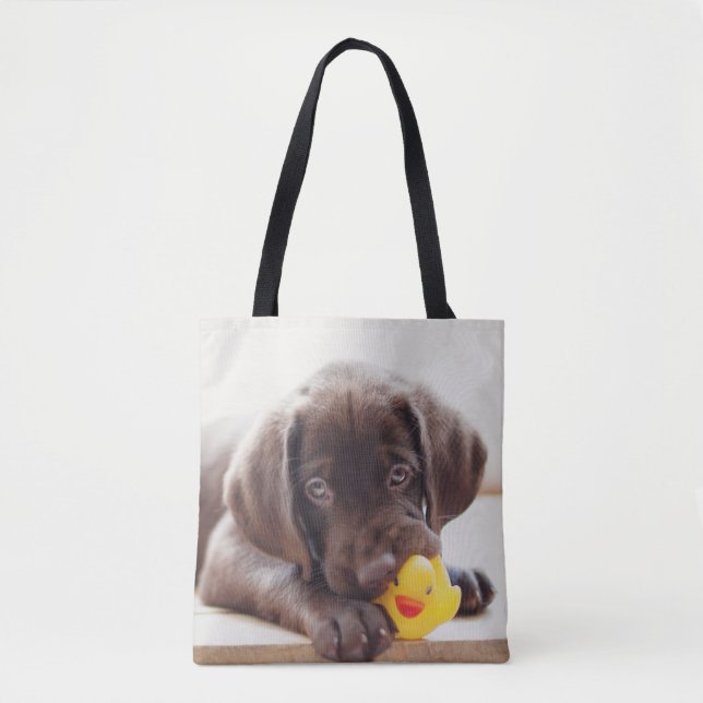 Niedliche Kleintiere | Chocolate Labrador Puppy (Vorderseite)