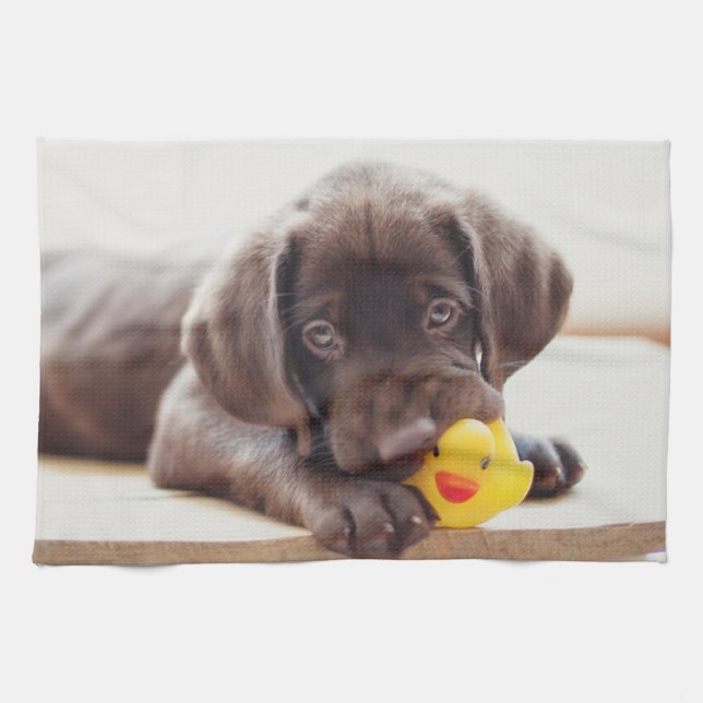 Niedliche Kleintiere | Chocolate Labrador Puppy Geschirrtuch (Horizontal)