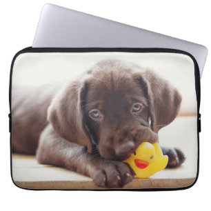 Niedliche Kleintiere   Chocolate Labrador Puppy Laptopschutzhülle