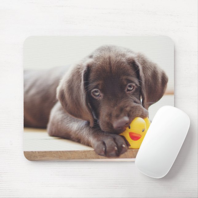 Niedliche Kleintiere | Chocolate Labrador Puppy Mousepad (Mit Mouse)