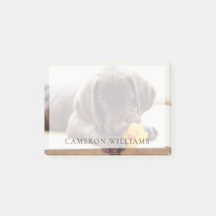 Niedliche Kleintiere   Chocolate Labrador Puppy Post-it Klebezettel