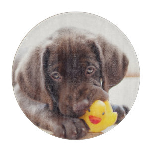 Niedliche Kleintiere   Chocolate Labrador Puppy Schneidebrett