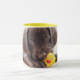 Niedliche Kleintiere   Chocolate Labrador Puppy Tasse