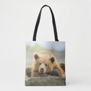 Niedliche Kleintiere Coastal Brown Bären Cube