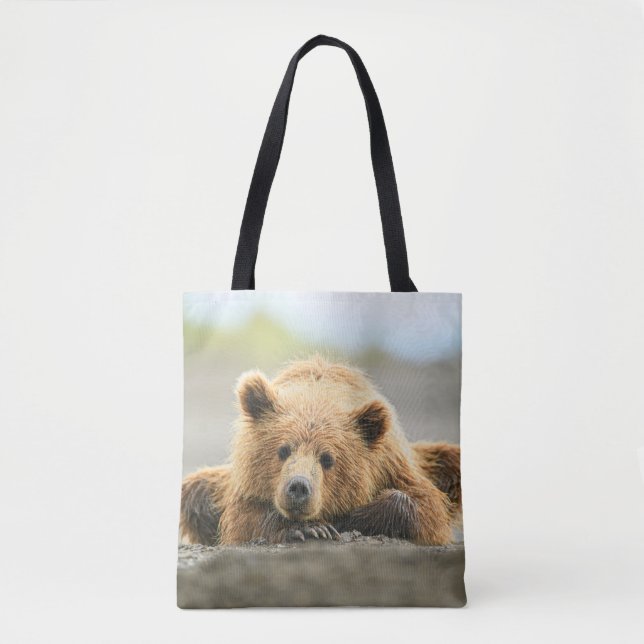 Niedliche Kleintiere | Coastal Brown Bären Cube (Vorderseite)