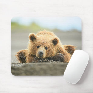 Niedliche Kleintiere   Coastal Brown Bären Cube Mousepad