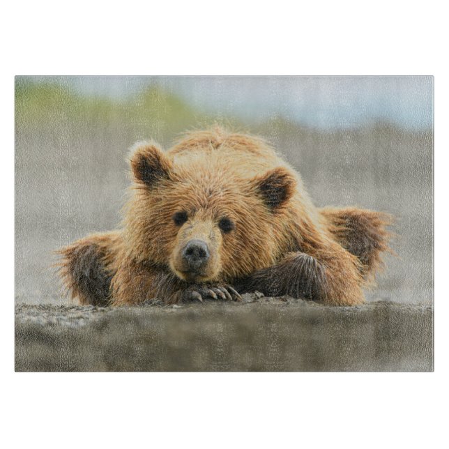 Niedliche Kleintiere | Coastal Brown Bären Cube Schneidebrett (Vorderseite)