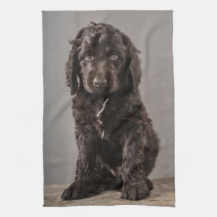 Niedliche Kleintiere Cockapoo Welpe Geschirrtuch