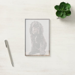 Niedliche Kleintiere   Cockapoo Welpe Post-it Klebezettel