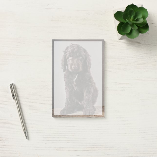 Niedliche Kleintiere | Cockapoo Welpe Post-it Klebezettel (Büro)