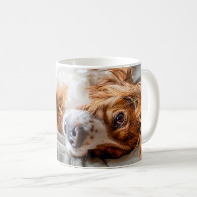 Niedliche Kleintiere | Cocker Spanel Kaffeetasse (VorderseiteRechts)