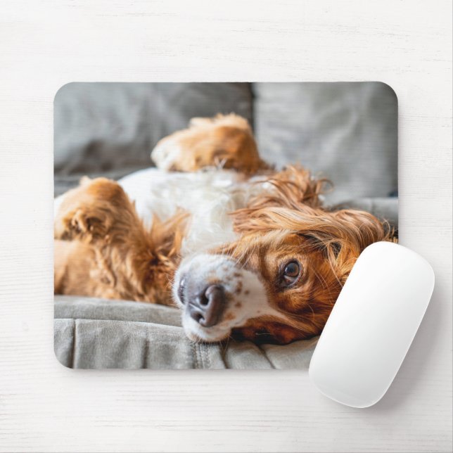 Niedliche Kleintiere | Cocker Spanel Mousepad (Mit Mouse)