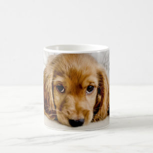 Niedliche Kleintiere Cocker Spaniel Puppy Kaffeetasse