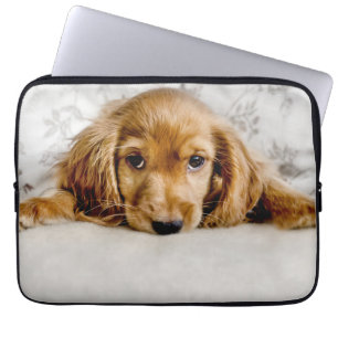 Niedliche Kleintiere Cocker Spaniel Puppy Laptopschutzhülle