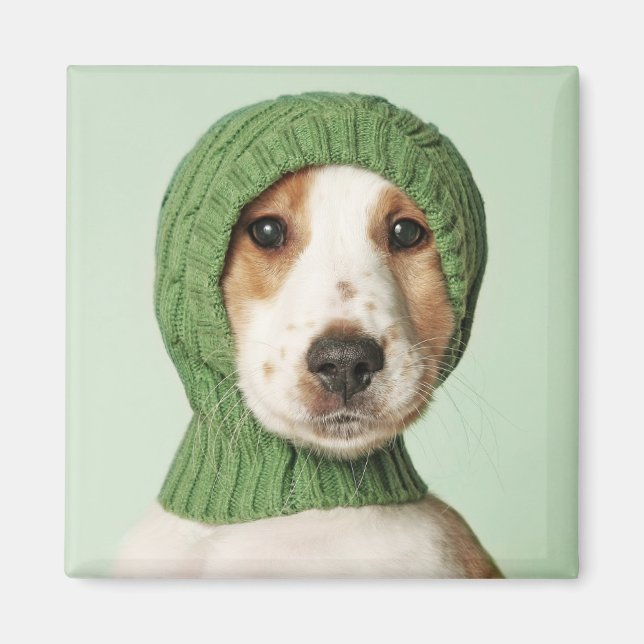 Niedliche Kleintiere | Cocker Spaniel Puppy Magnet (Vorne)