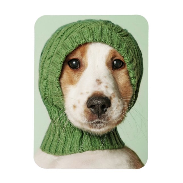 Niedliche Kleintiere | Cocker Spaniel Puppy Magnet (Vertikal)