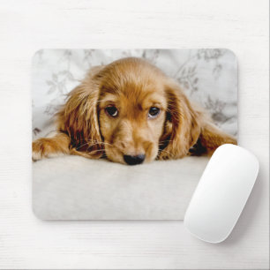 Niedliche Kleintiere   Cocker Spaniel Puppy Mousepad