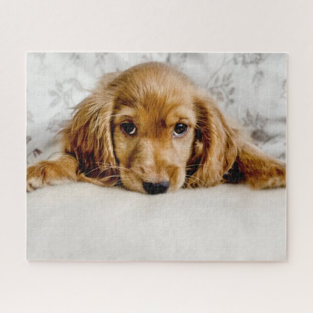 Niedliche Kleintiere | Cocker Spaniel Puppy Puzzle (Horizontal)