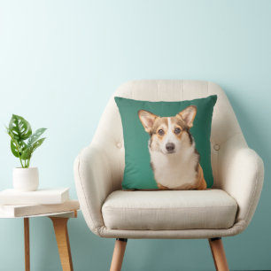 Niedliche Kleintiere Corgi auf Aquamarin Kissen