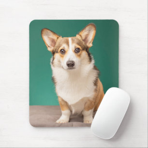 Niedliche Kleintiere   Corgi auf Aquamarin Mousepad