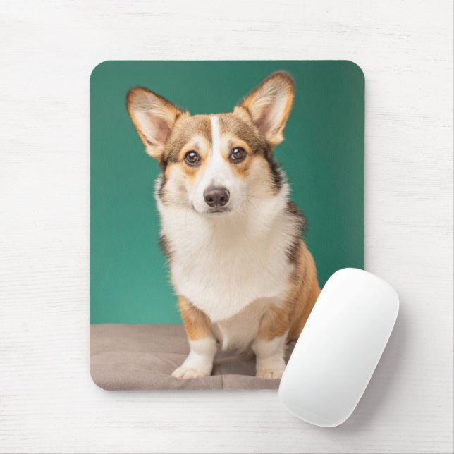 Niedliche Kleintiere | Corgi auf Aquamarin Mousepad (Mit Mouse)