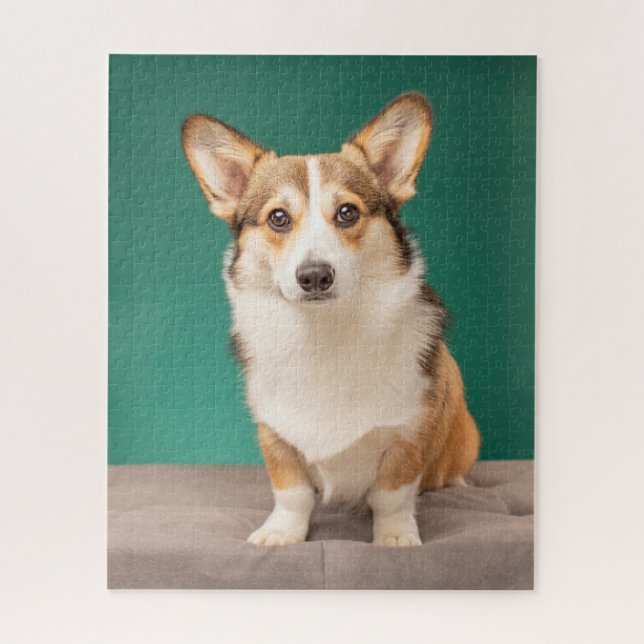 Niedliche Kleintiere | Corgi auf Aquamarin Puzzle (Vertikal)