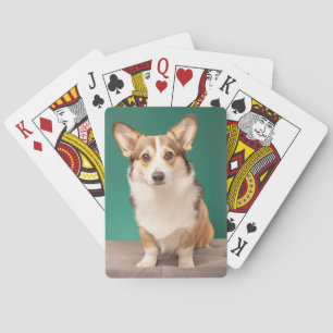 Niedliche Kleintiere   Corgi auf Aquamarin Spielkarten