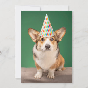 Niedliche Kleintiere   Corgi Birthday Welppy Dankeskarte