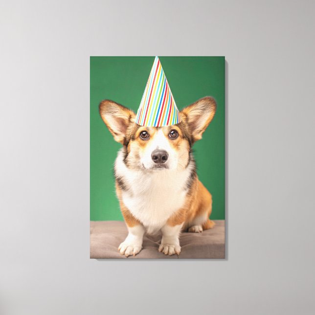 Niedliche Kleintiere | Corgi Birthday Welppy Leinwanddruck (Vorderseite)