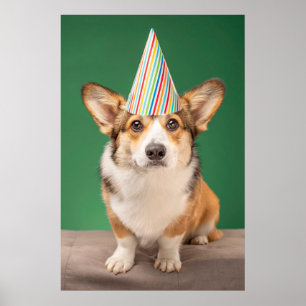 Niedliche Kleintiere   Corgi Birthday Welppy Poster