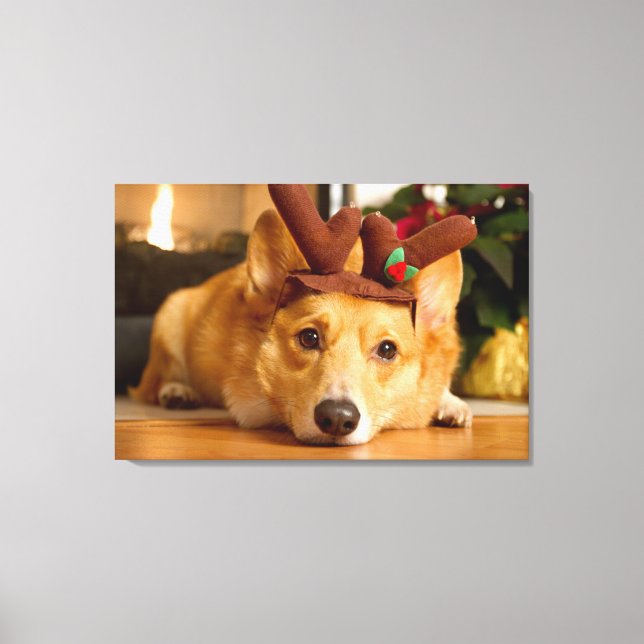 Niedliche Kleintiere | Corgi Christmas Reindeer Leinwanddruck (Vorderseite)