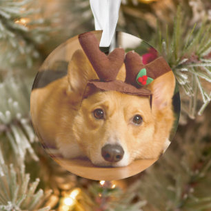 Niedliche Kleintiere Corgi Christmas Reindeer Ornament