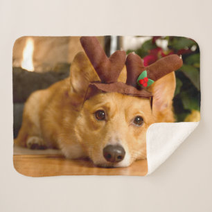 Niedliche Kleintiere Corgi Christmas Reindeer Sherpadecke