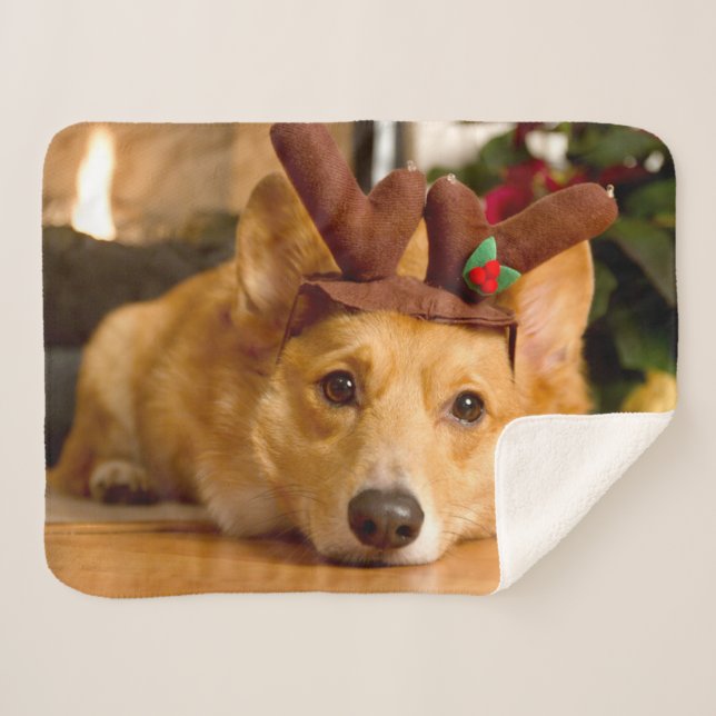 Niedliche Kleintiere | Corgi Christmas Reindeer Sherpadecke (Vorderseite (Horizontal))
