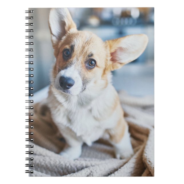 Niedliche Kleintiere | Corgi Head Tilt Notizblock (Vorderseite)