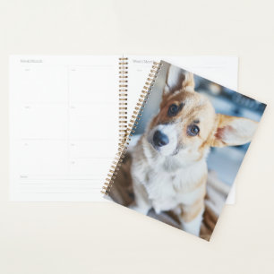Niedliche Kleintiere Corgi Head Tilt Planer