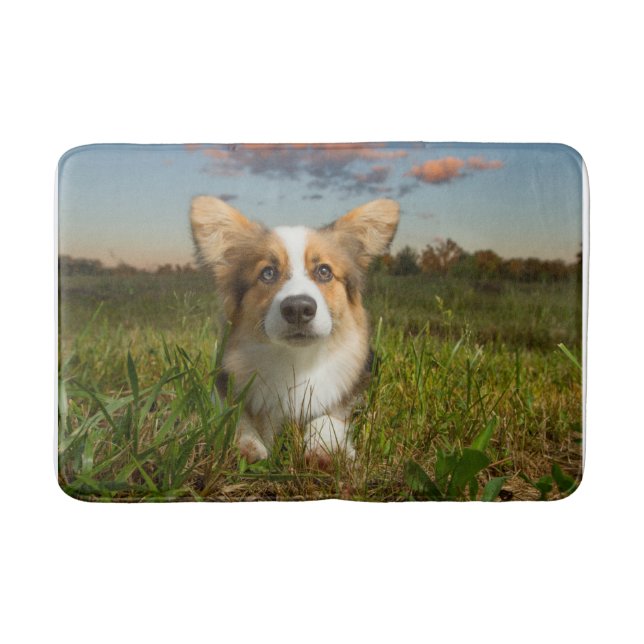 Niedliche Kleintiere | Corgi in Cloudy Yard Badematte (Vorderseite)