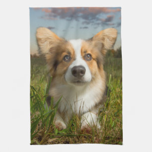 Niedliche Kleintiere   Corgi in Cloudy Yard Geschirrtuch
