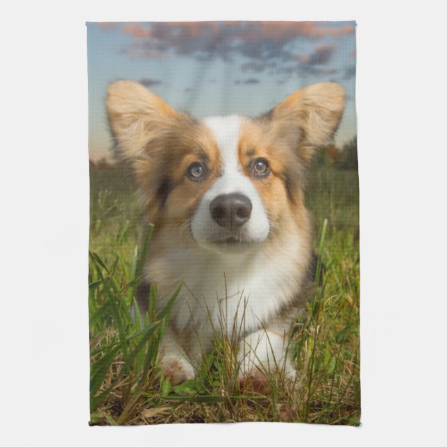 Niedliche Kleintiere | Corgi in Cloudy Yard Geschirrtuch (Vertikal)