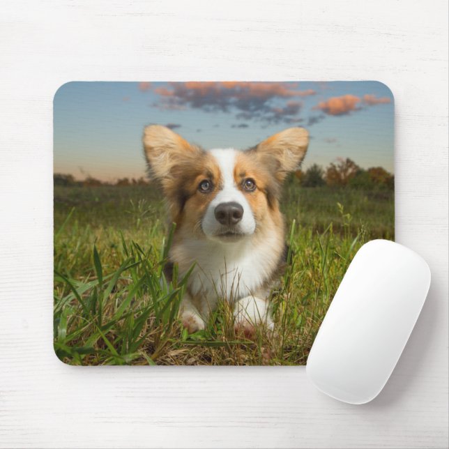 Niedliche Kleintiere | Corgi in Cloudy Yard Mousepad (Mit Mouse)