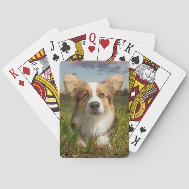 Niedliche Kleintiere | Corgi in Cloudy Yard Spielkarten (Rückseite)