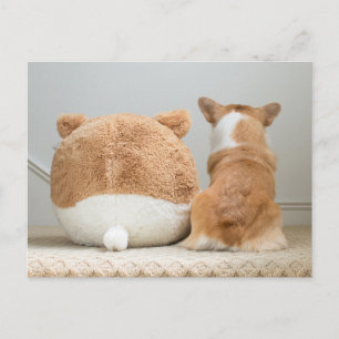 Niedliche Kleintiere Corgi & Plush Puppy Postkarte