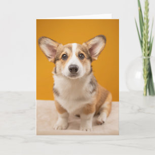 Niedliche Kleintiere Corgi Portrait auf Orange Karte