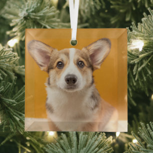Niedliche Kleintiere Corgi Portrait auf Orange Ornament Aus Glas